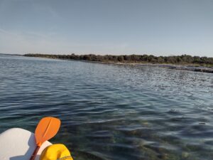 IMG_20240717_075936991_HDR