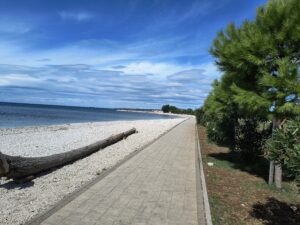 IMG_20240917_122734300