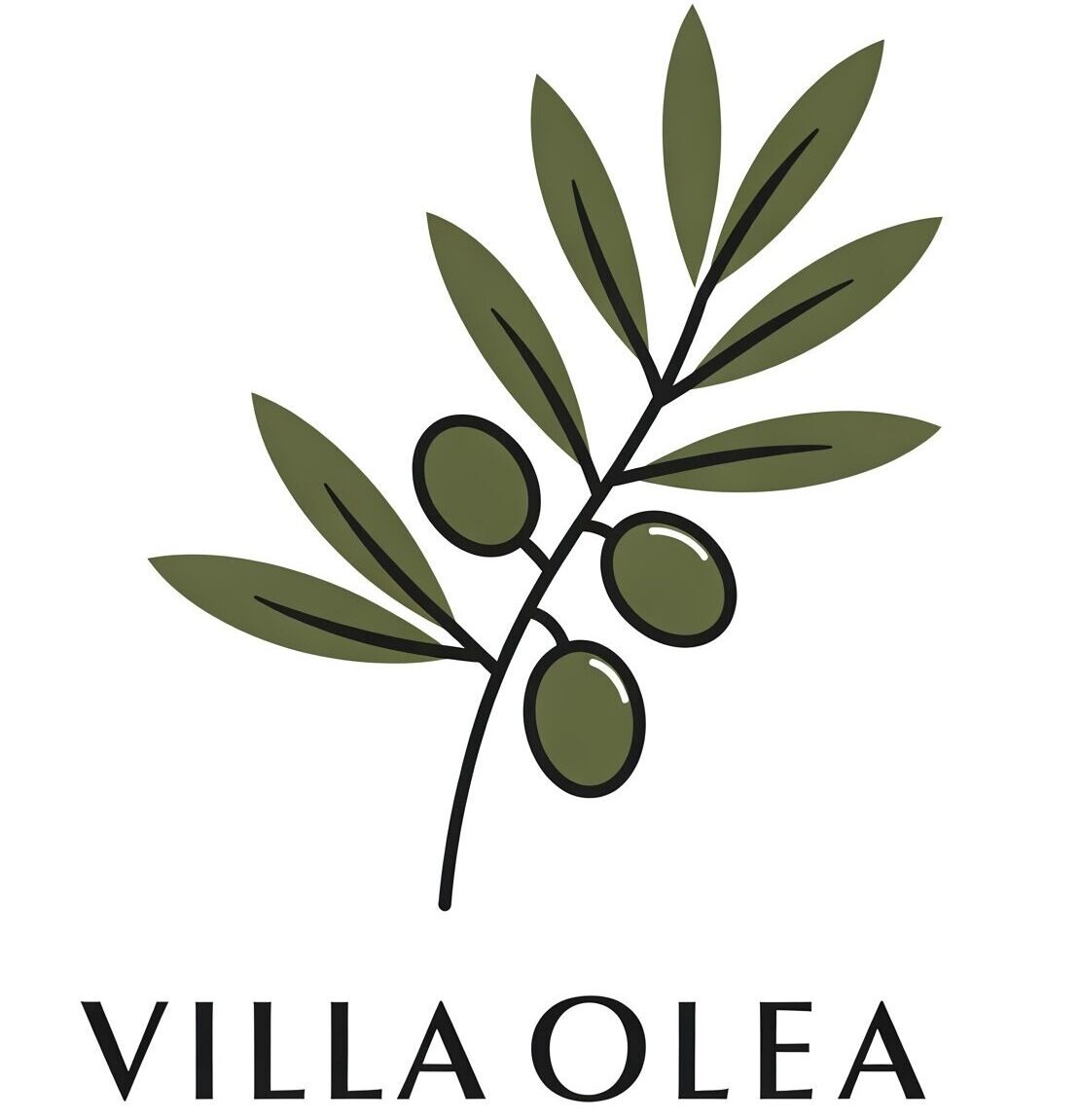 www.oleaperoj.eu